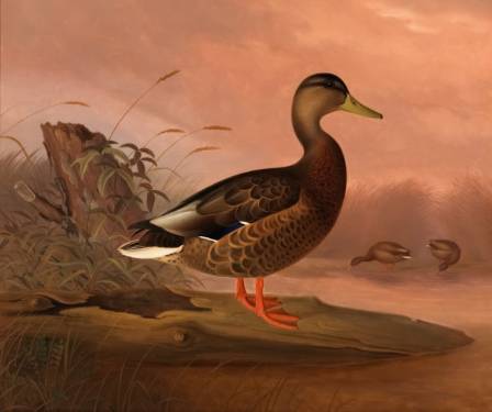 Ten Masterful Animal Depictions in Art History