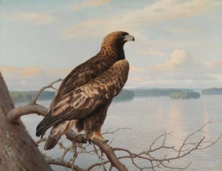 Famous Animal Paintings You Need to Know