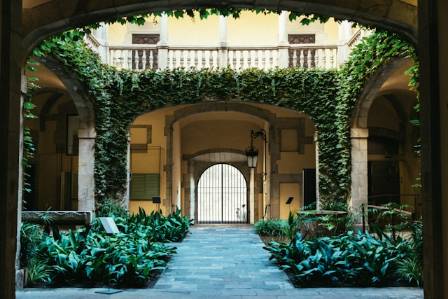 8 Best Plants to Transform Your Courtyard Garden into a Green Oasis